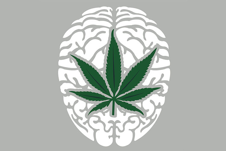 cannabis and ptsd flower on brain