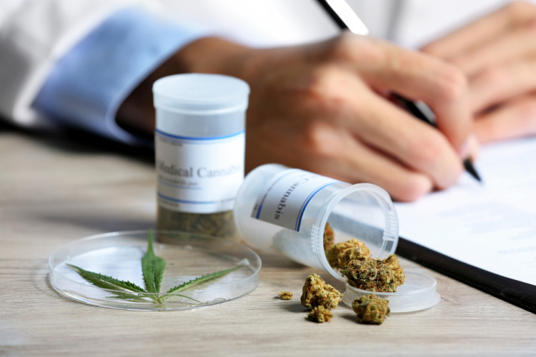 cannabis and ptsd prescribing cannabis