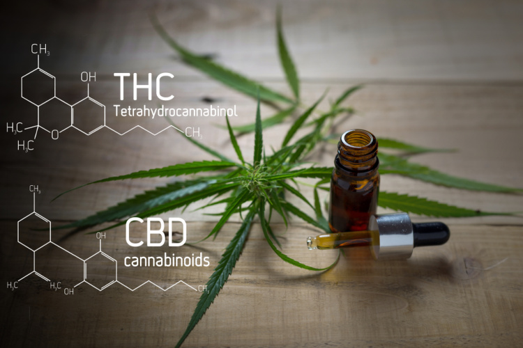 cannabis for stress thc cbd molecules