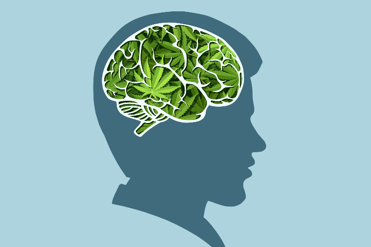 Does cannabis affect your memory 2