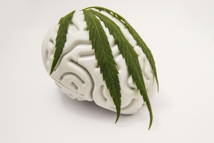 Does cannabis affect your memory 3